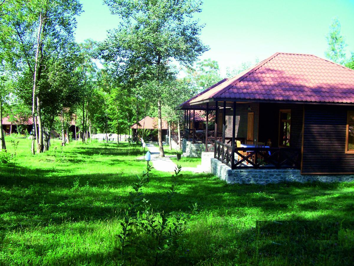 Şǝki Kish Adasi מראה חיצוני תמונה